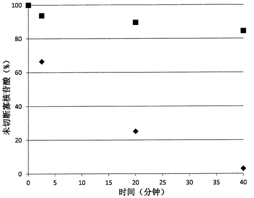 5'-modified nucleoside and nucleotide using same