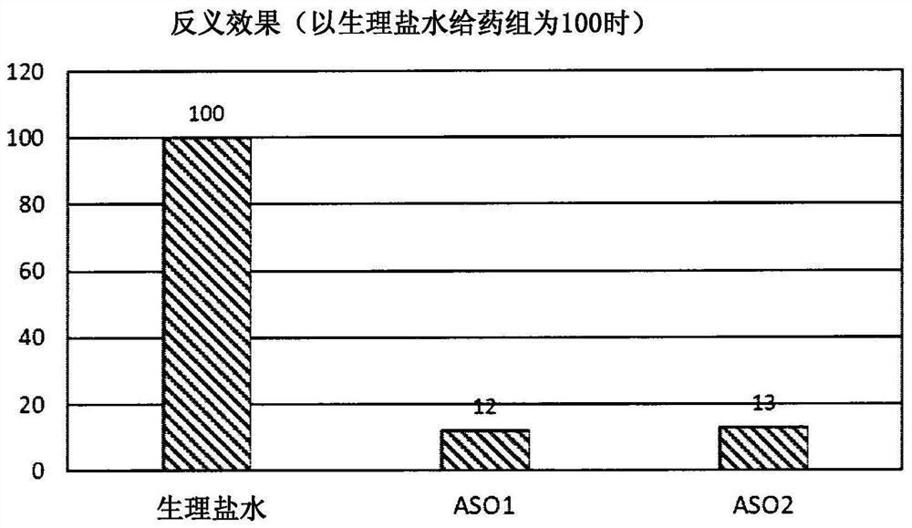 5'-modified nucleoside and nucleotide using same