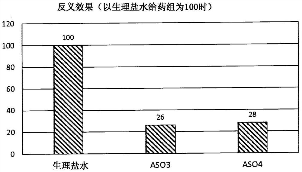 5'-modified nucleoside and nucleotide using same