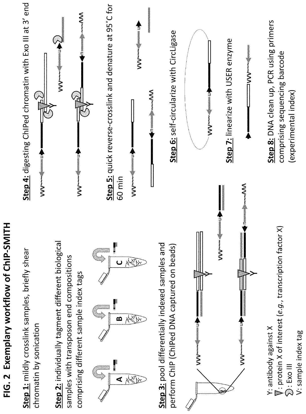 Methods for detecting protein binding sequences and tagging nucleic acids