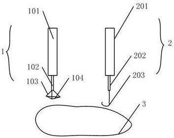 Package instrument for obtaining sperms from seminiferous tubule in removed testicular tissue and method