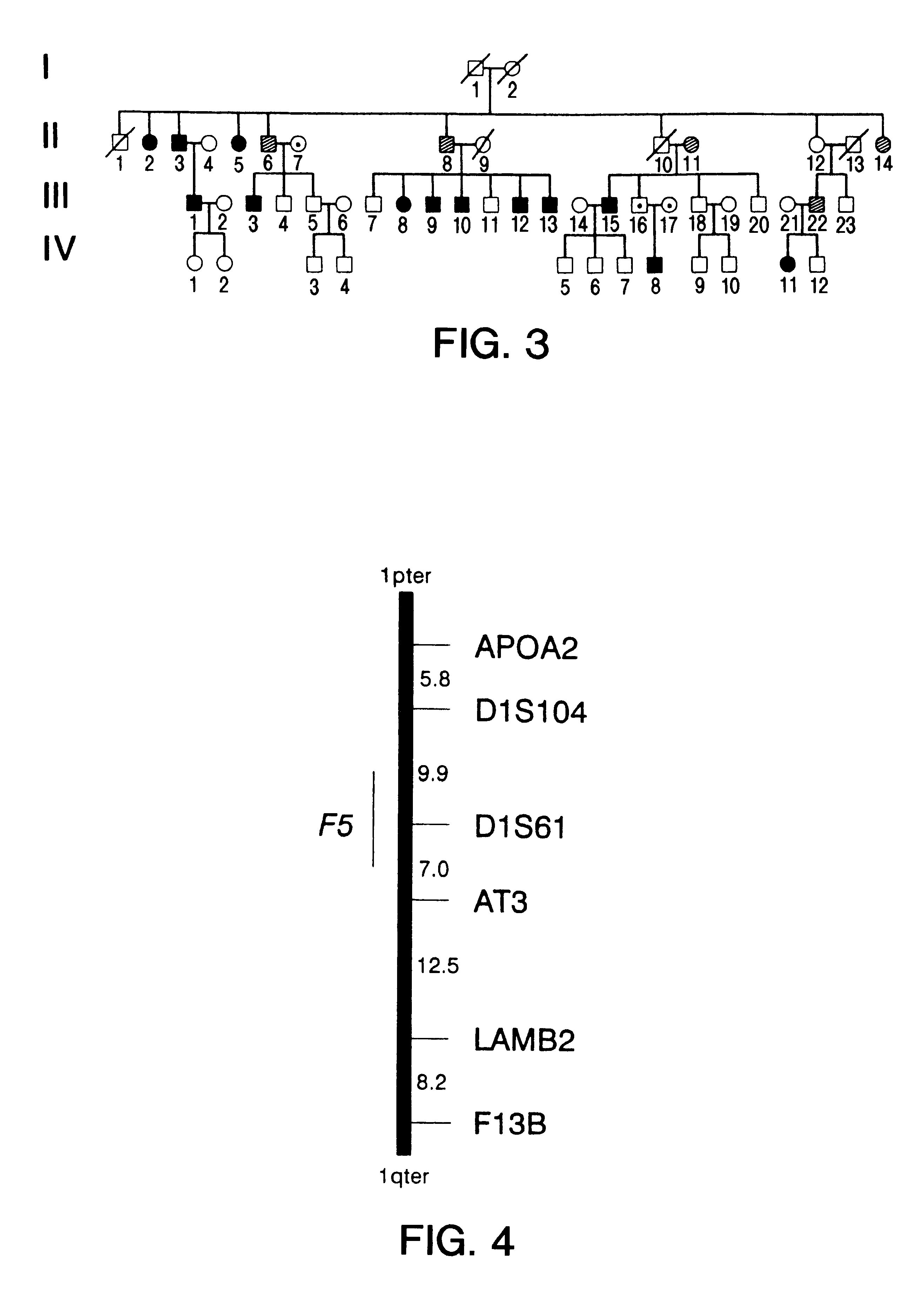 Method for diagnosing an increased risk for thrombosis or a genetic defect causing thrombosis and kit for use with the same
