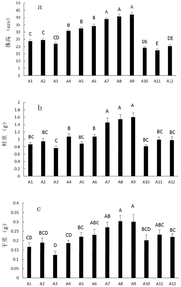 Alfalfa Seed Rhizobium Seed Coating Agent and Its Application