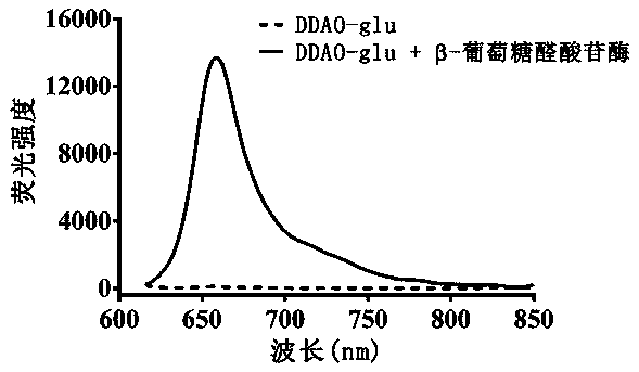 Fluorescence probe based on beta-glucuronidase of acridone and application of fluorescence probe