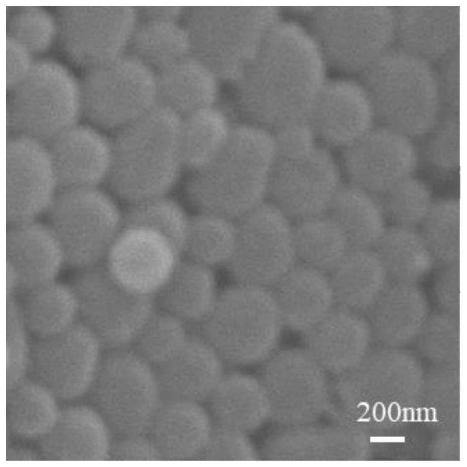 Drug-loaded lignin nanosphere and preparation method thereof