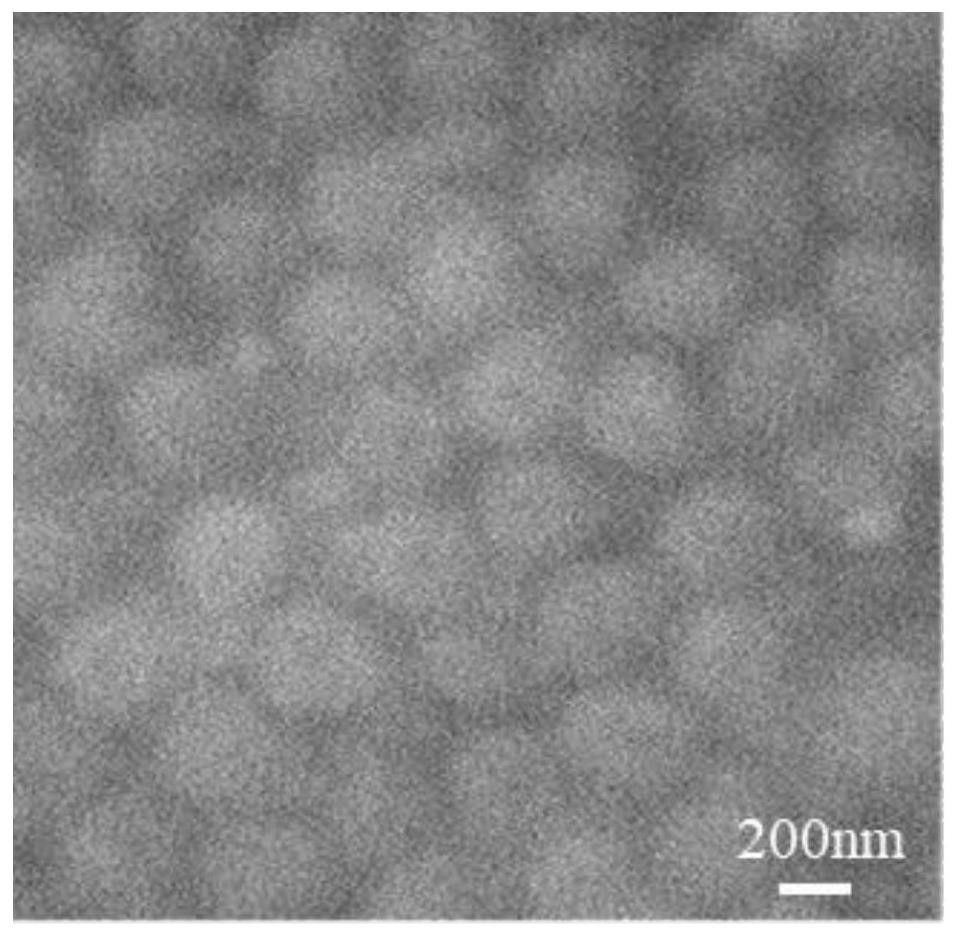 Drug-loaded lignin nanosphere and preparation method thereof