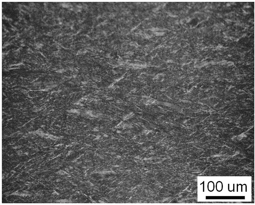 Preparation method of rare earth magnesium alloy and sheet thereof