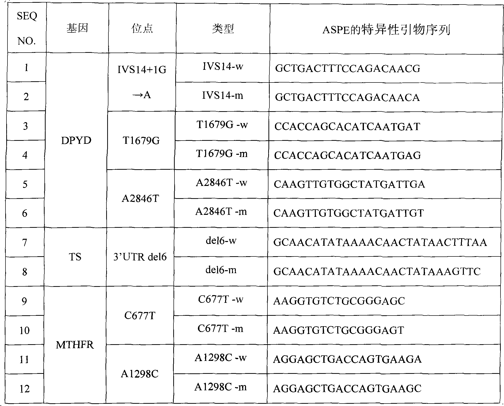 Specific primer for detecting fluorouracil medicament healing effect related gene mutation, liquid phase chip thereof and method thereof