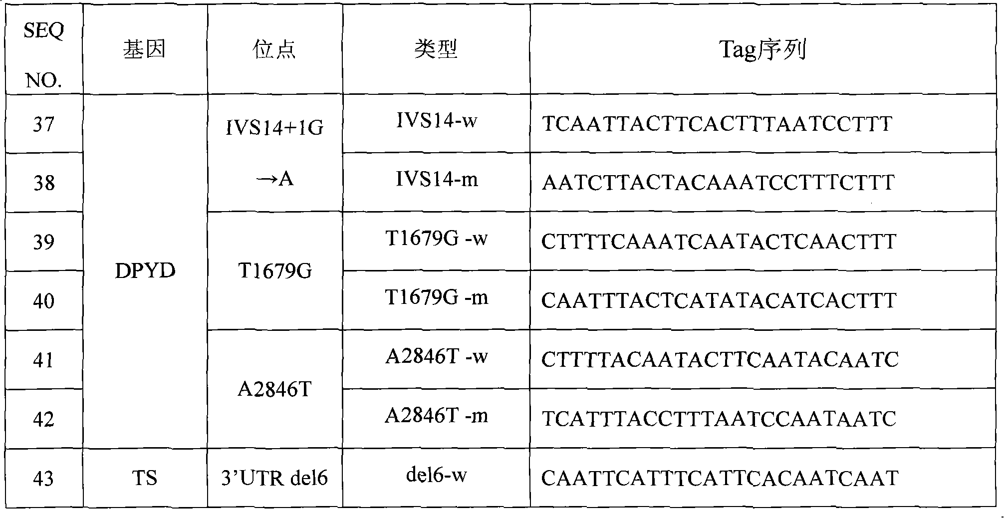 Specific primer for detecting fluorouracil medicament healing effect related gene mutation, liquid phase chip thereof and method thereof