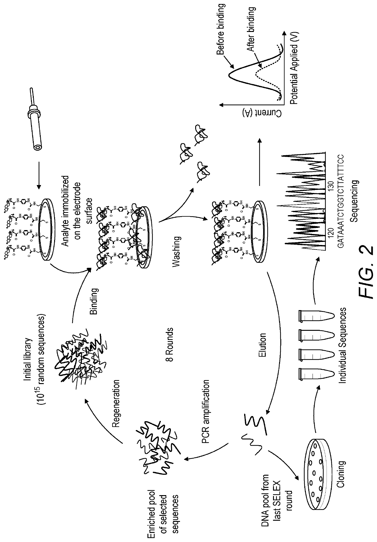 Electrochemical screening for the selection of DNA aptamers