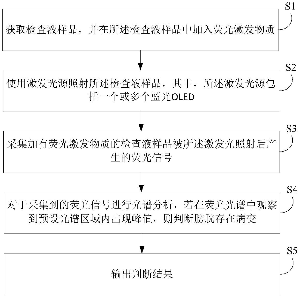 A kind of oled bladder detection equipment and method