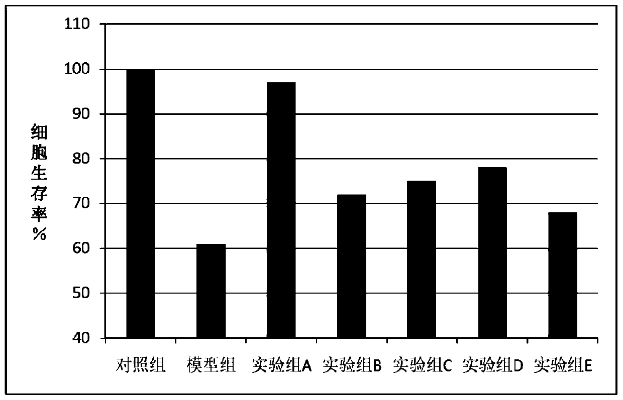 Anti-aging wrinkle-removing nano-preparation as well as preparation method and use thereof