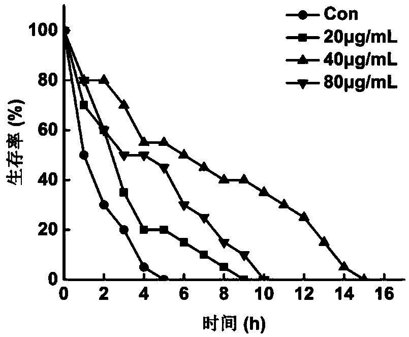 Application of forsythia flower yellow pigment in preparing anti-oxidative stress injury drug