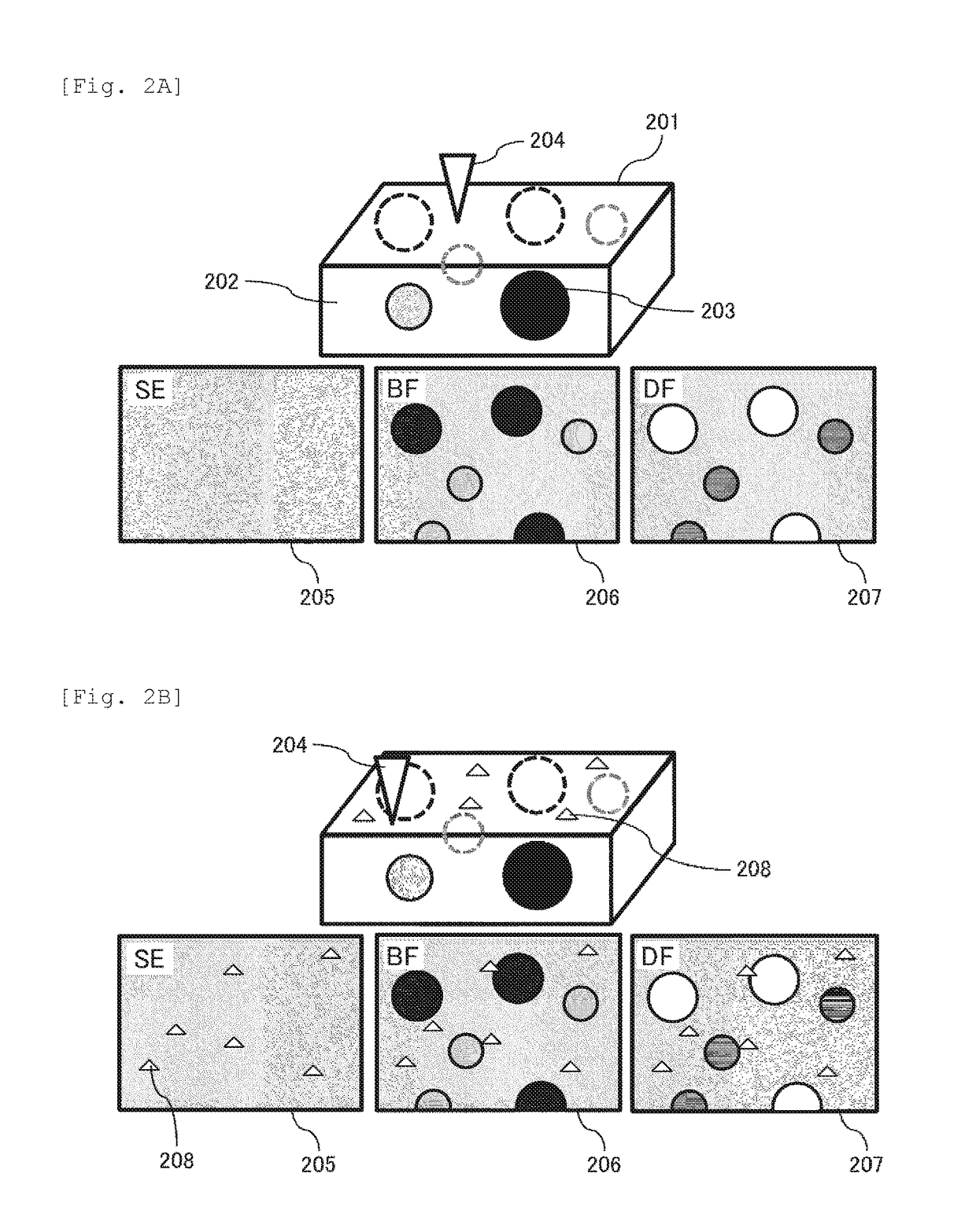 Charged particle beam device, electron microscope and sample observation method