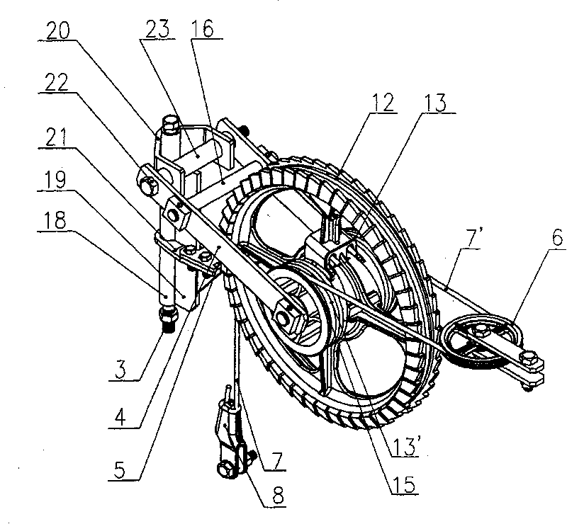 Bevel ratchet wheel compensating device