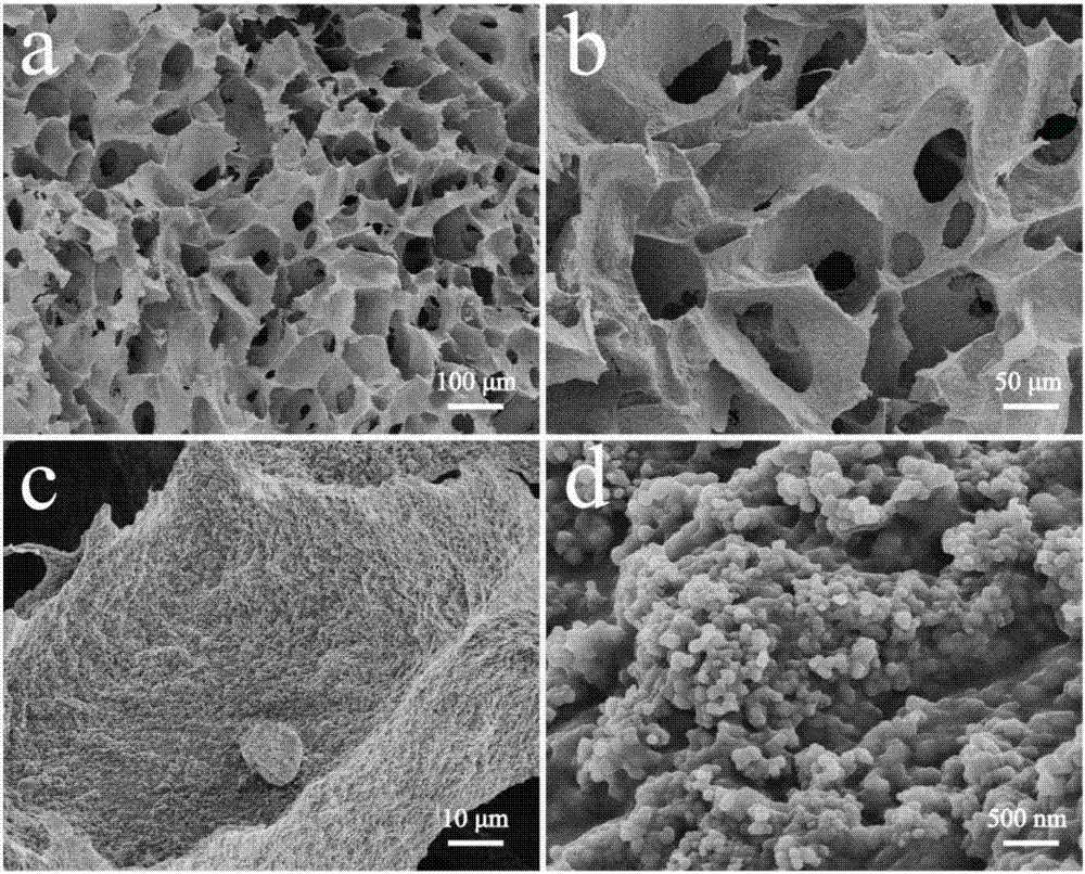 A kind of nano-titanium dioxide/chitosan three-dimensional porous composite material and its preparation method