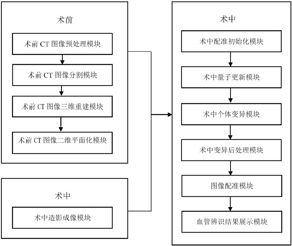 Apparatus and method for identifying blood vessels in angiography-assisted congenital heart disease operation