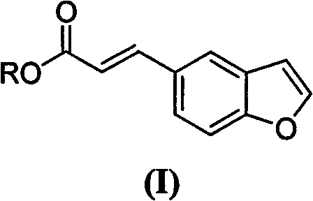 (E)-3-(benzfuran-5-yl) acrylic ester compound, preparation method and application thereof