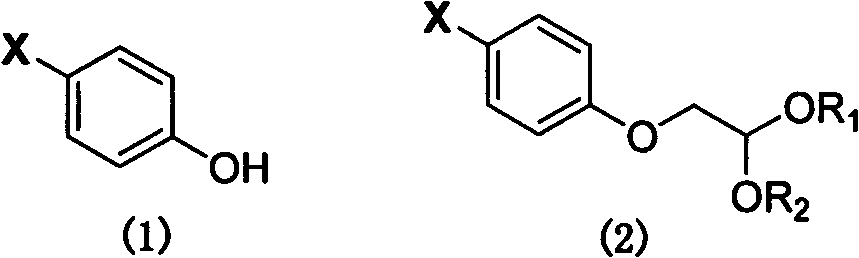 (E)-3-(benzfuran-5-yl) acrylic ester compound, preparation method and application thereof