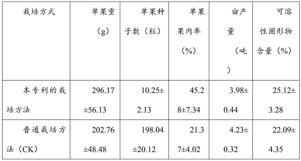 Seedless cultivation method for holboellia latifolia