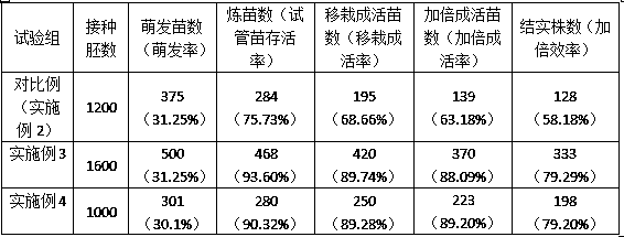 A kind of cultivation method of wheat haploid embryogenic test-tube plantlets