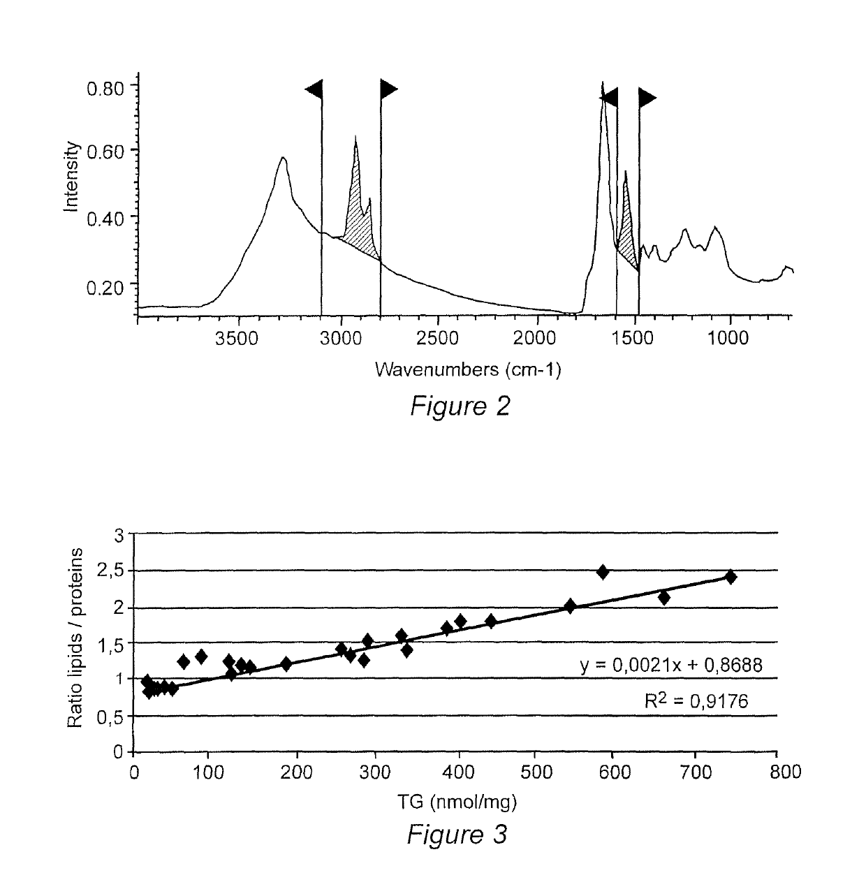 Method for measuring a biological value of a liver