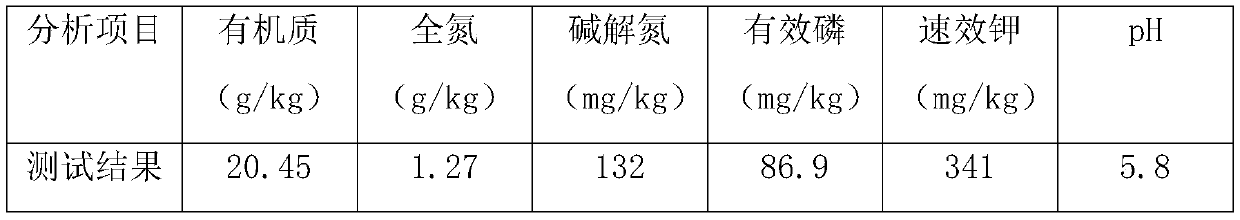 Charcoal composite bioorganic fertilizer and preparation method thereof