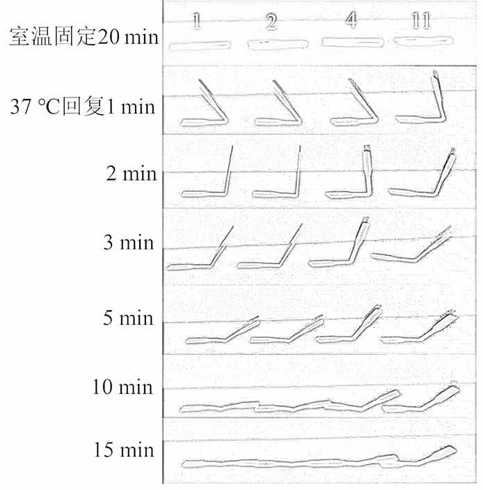 Body temperature responsive shape memory polyurethane material and preparation method thereof