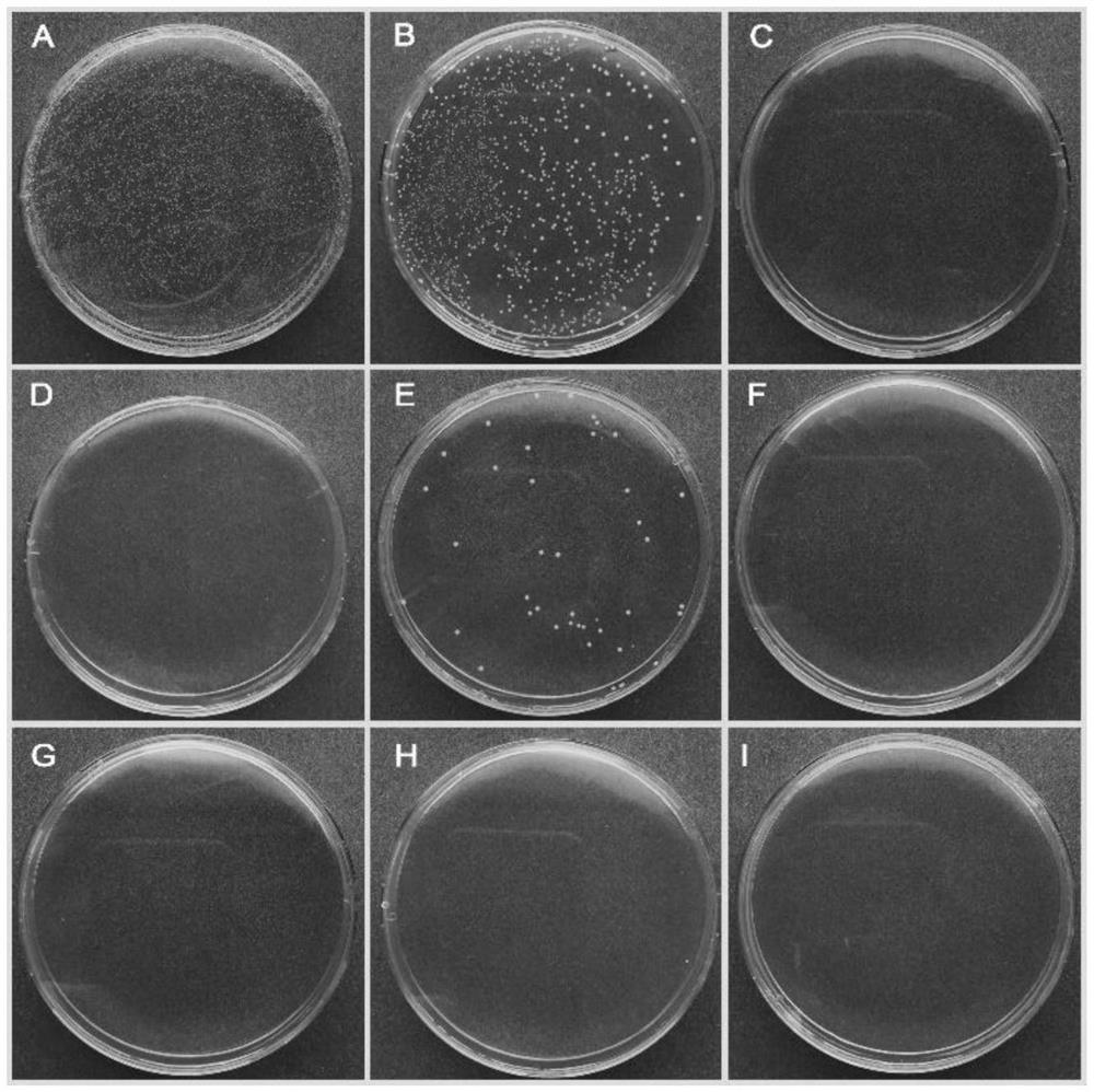 A new triton-silver compound antibacterial reagent and its application