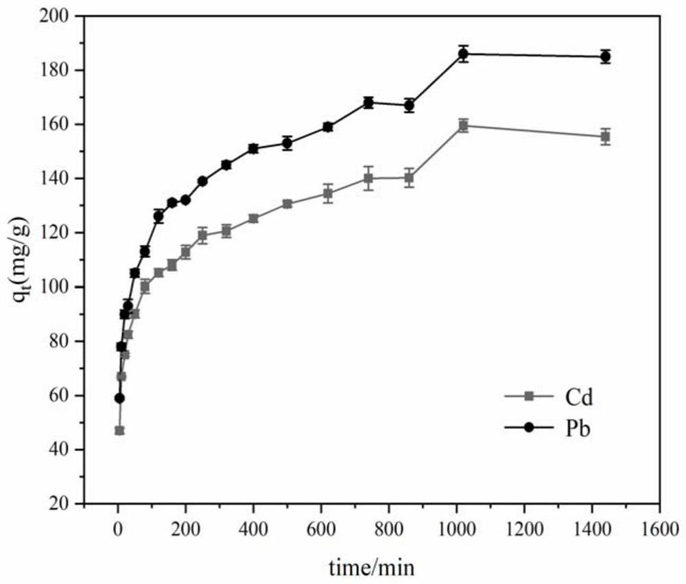 Sludge biochar loaded magnesium-iron oxide composite material for removing lead and cadmium in water as well as preparation method and application thereof