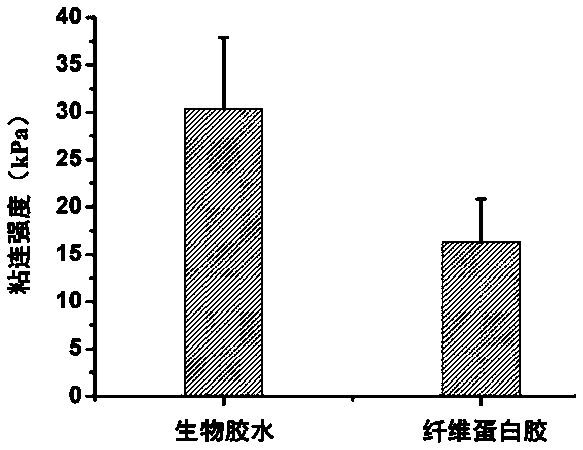 Bioglue based on polyhedral oligomeric silsesquioxane modified polyethylene glycol and its preparation method and application