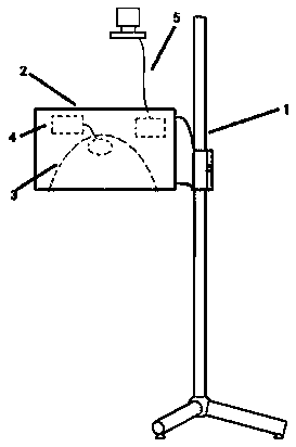 Head force applying and measuring device