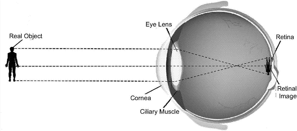 Vision correction method and device