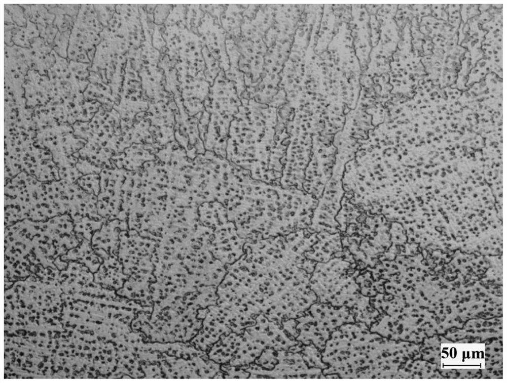 Metallographic corrosive for deformed tin bronze and crystal grain display method thereof