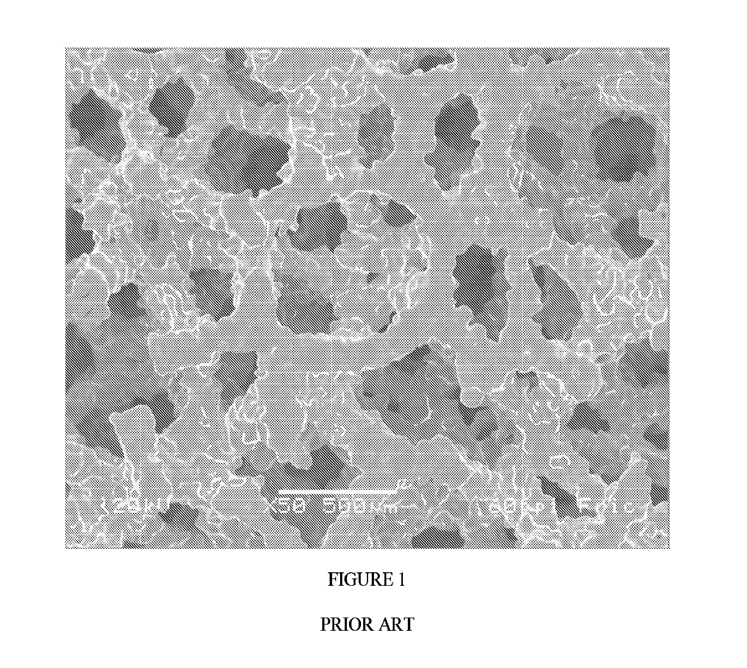 Porous surface layers with increased surface roughness and implants incorporating the same