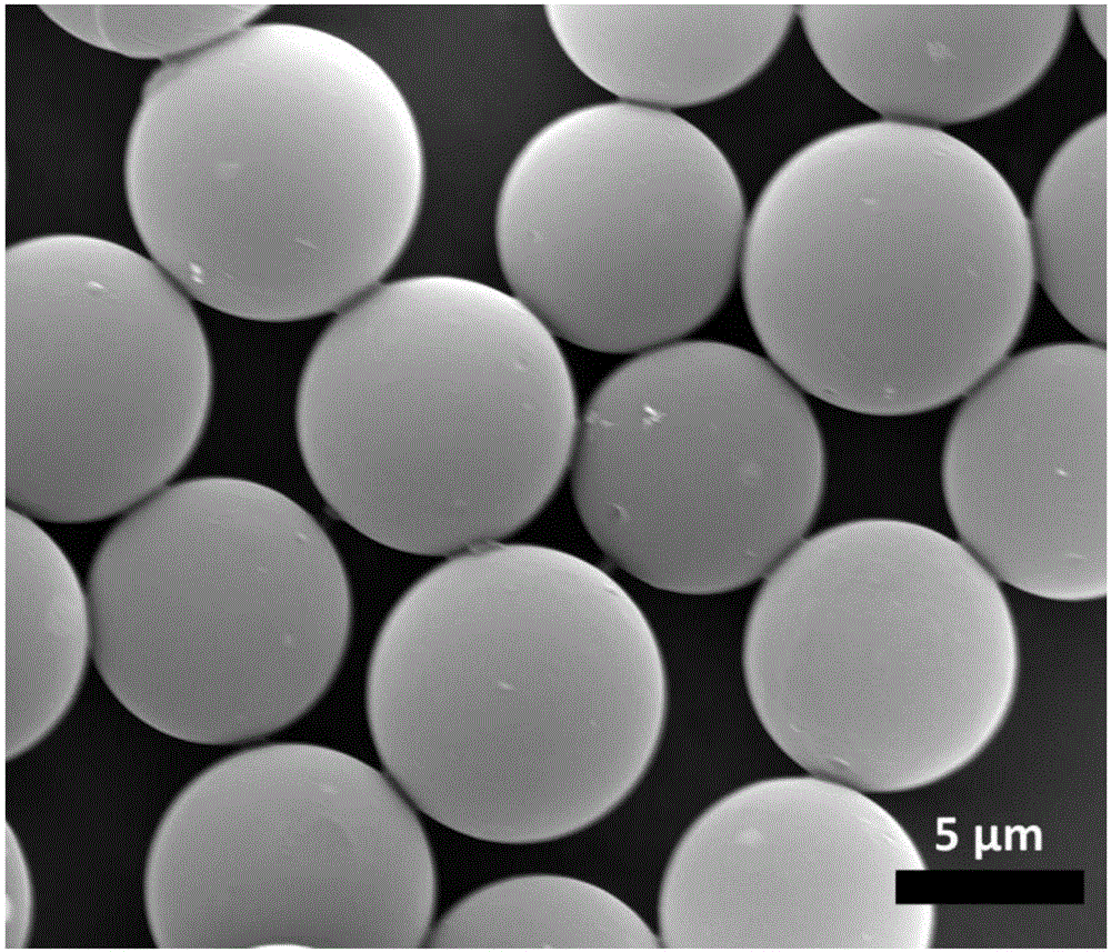 Functional nano particle composite microsphere, preparation and applications thereof