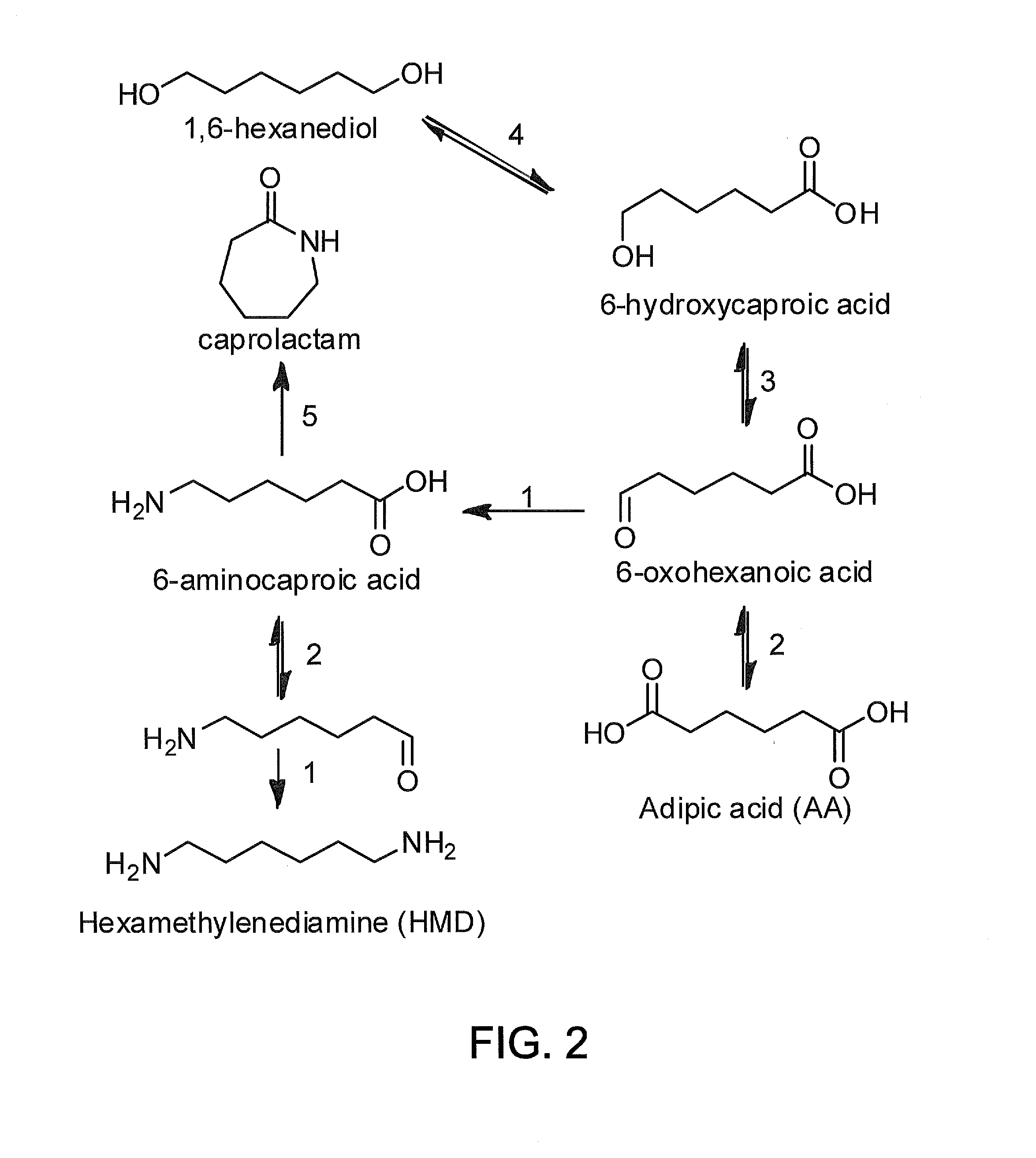 Methods of producing carboxylic acids