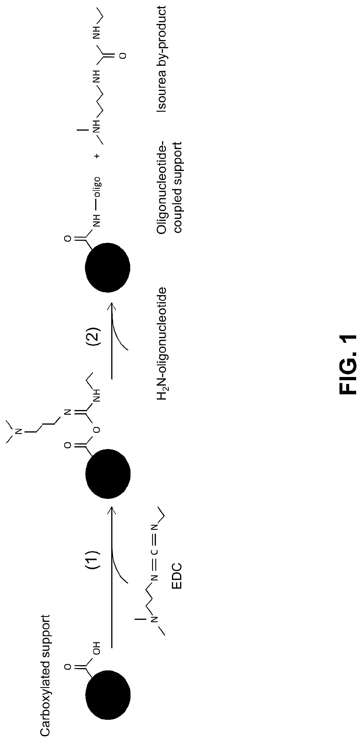 Methods and compositions for coupling nucleic acid to a functionalized support