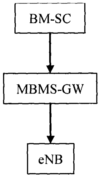 Multimedia broadcast multicast service implementing method and system under long-term evolution structure