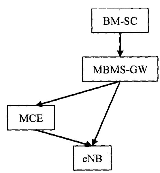 Multimedia broadcast multicast service implementing method and system under long-term evolution structure