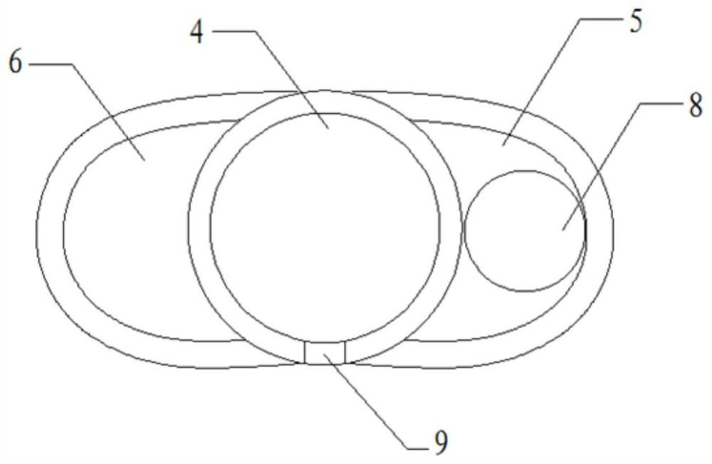 Siphon type mouthpart model teaching aid