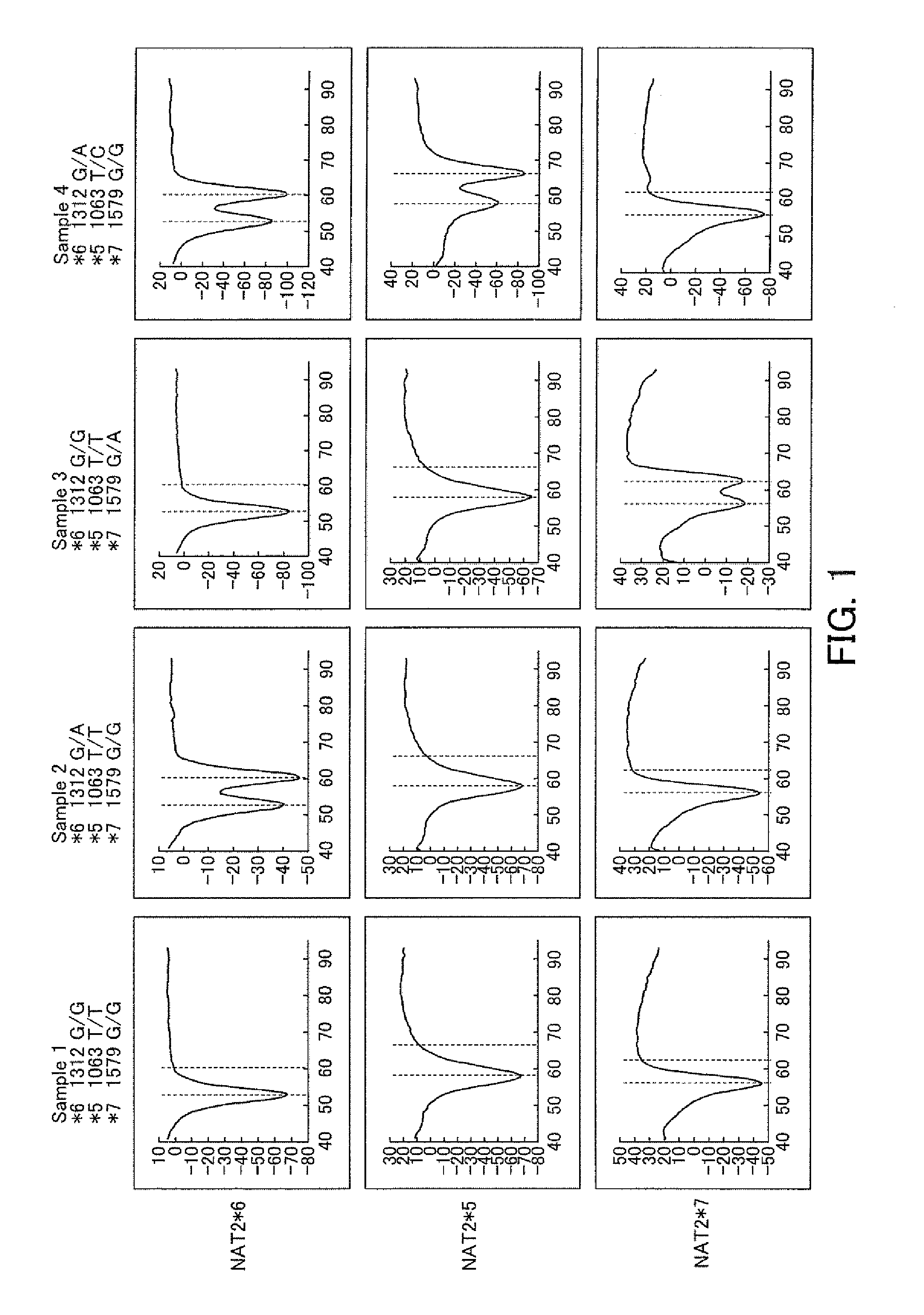Probes for Detection of NAT2 Gene, Reagent Containing the Same, and The Uses Thereof
