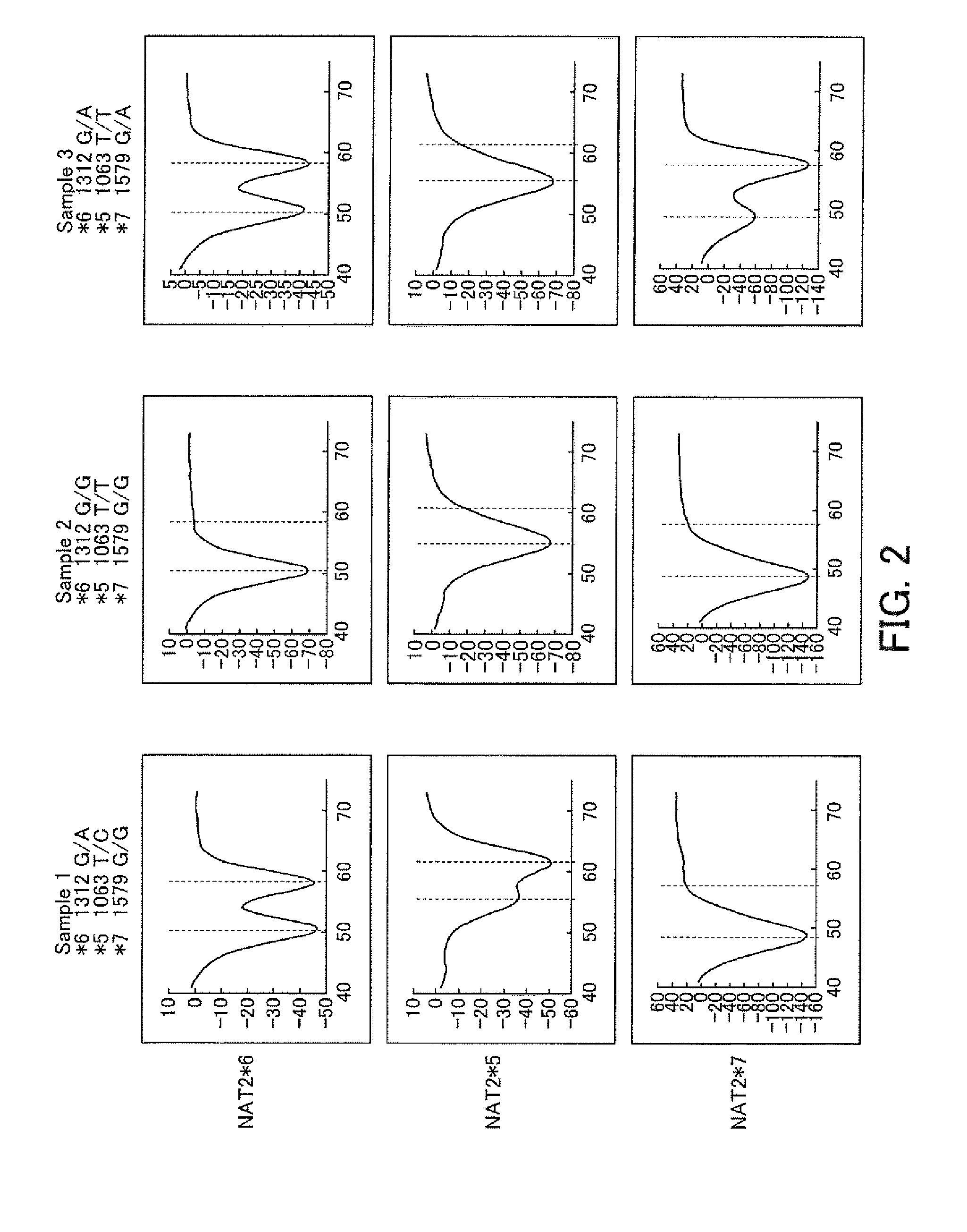 Probes for Detection of NAT2 Gene, Reagent Containing the Same, and The Uses Thereof