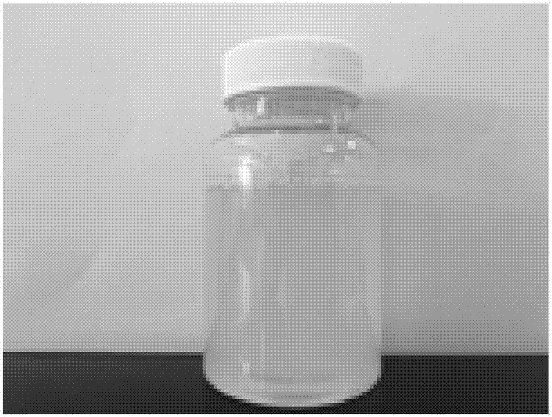Cymene water-based formula and application thereof in external skin preparation