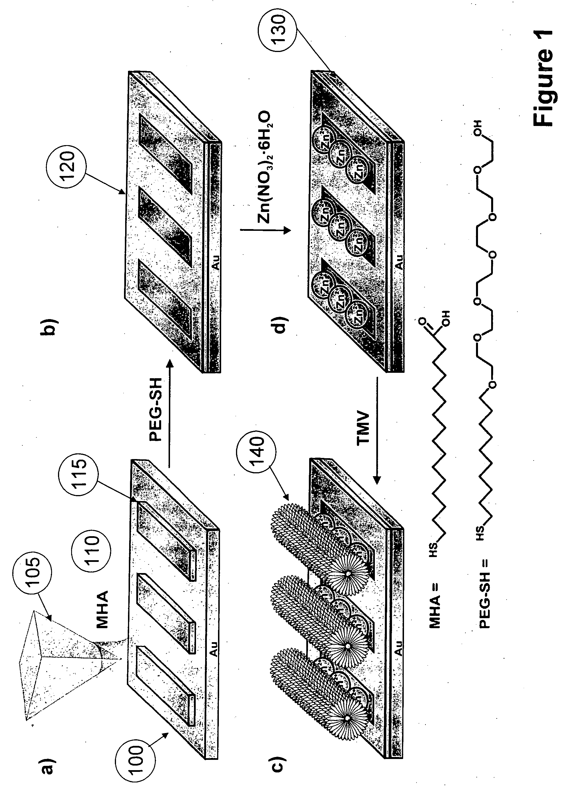 Nanoarrays of single virus particles, methods and instrumentation for the fabrication and use thereof