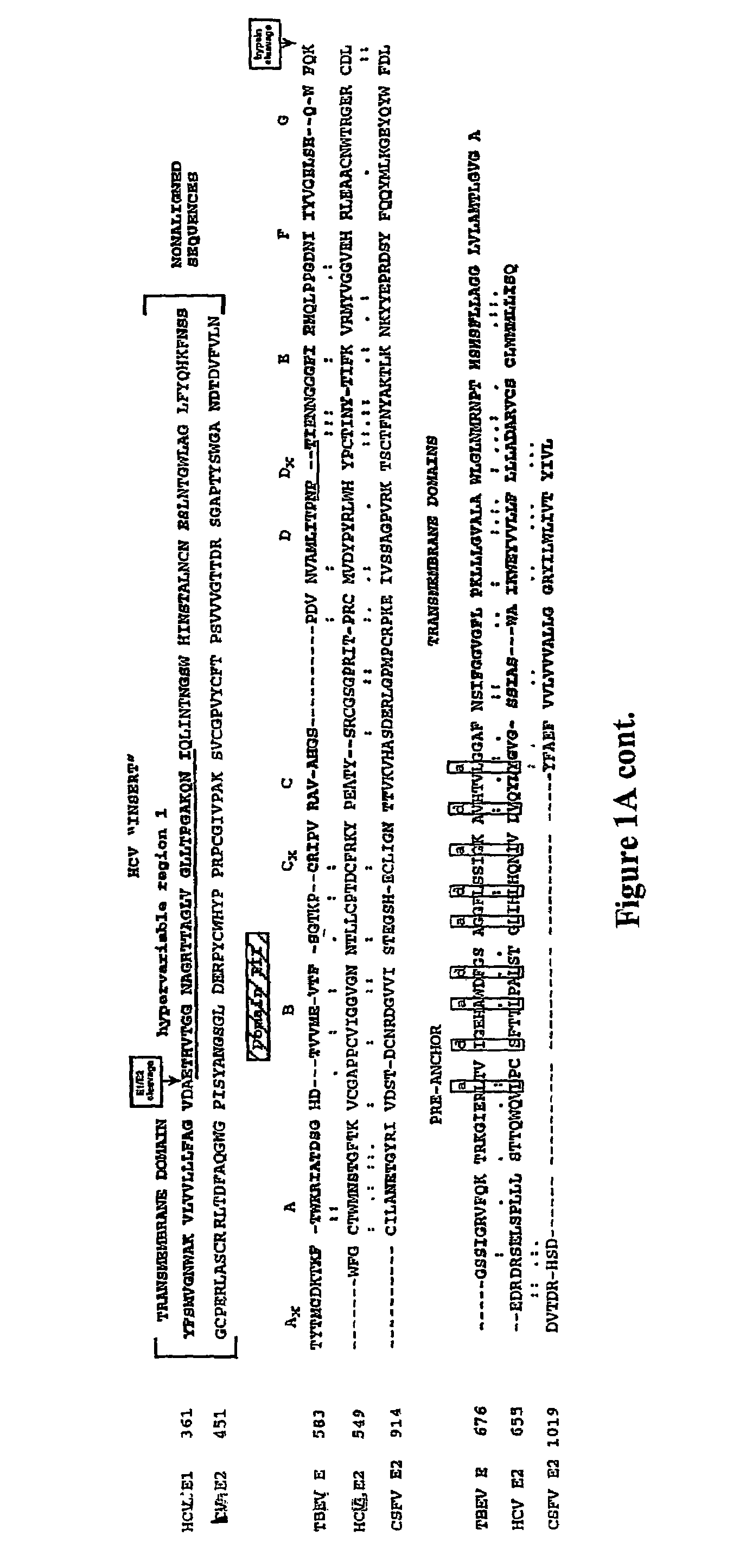 Flavivirus fusion inhibitors