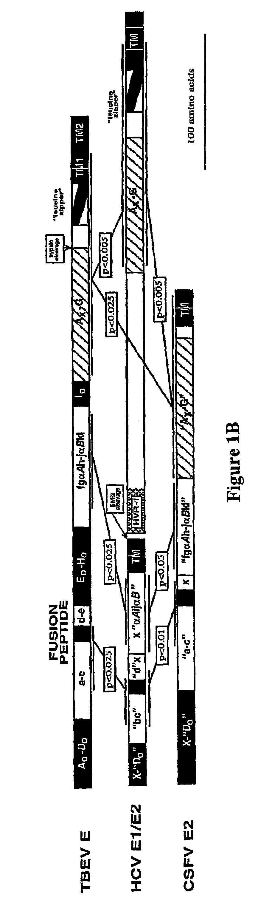 Flavivirus fusion inhibitors