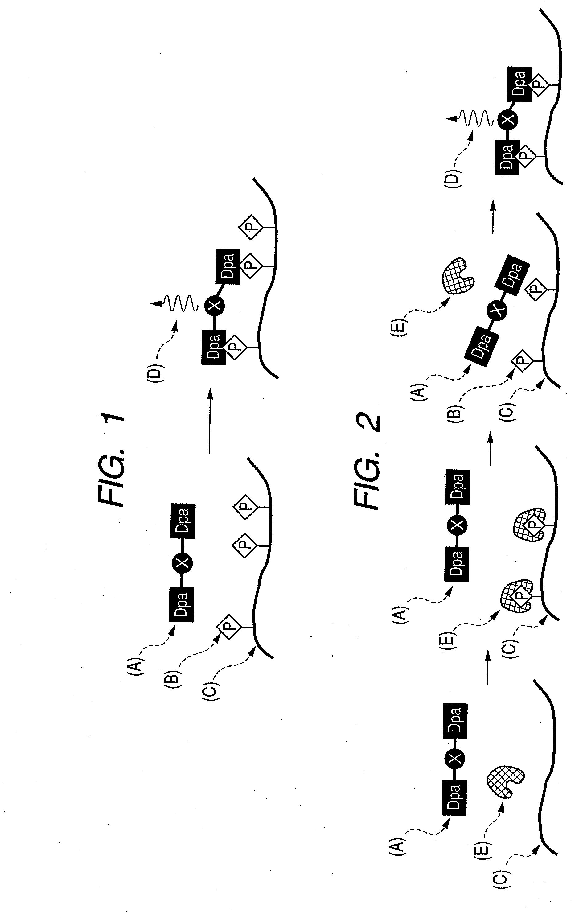 Multisite phosphorylated peptide (protein) recognizing compound and detection method, imaging method, alzheimer's disease diagnosing method and reagent kit using the same