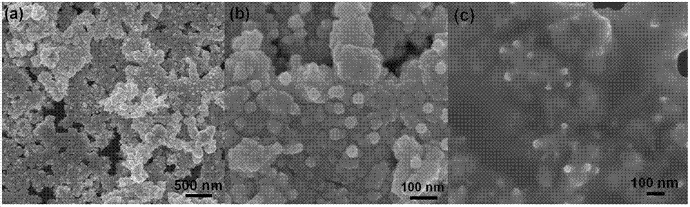 Electrochemical biosensor and application thereof