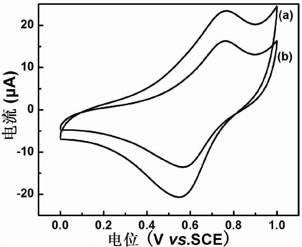 Electrochemical biosensor and application thereof